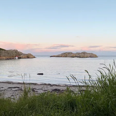 Stunning In Sandefjord